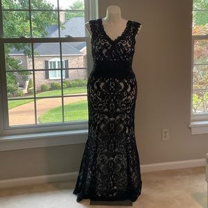 Tadashi shoji contrast navy lace dress
